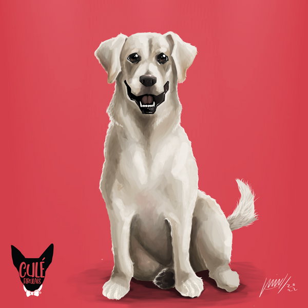 CULEFIED PET PORTRAIT- Digital